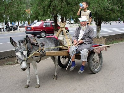 Turfan - popular form of transportation