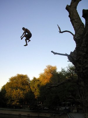 Central old-town Bukhara - boys leap off mulberry tree into Lyaby House pool