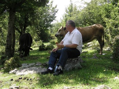 Kutaisi, Western GA - Mr. Clive has lunch with some new friends, outside Motsameta Church