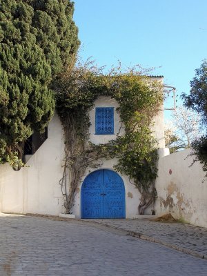 Inviting doorway, Sidi Bou Said