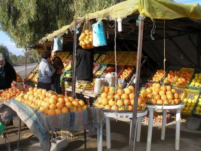 Stop at a citrus stand, enroute to Dougga