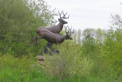 Meijer Gardens - deer sculpture