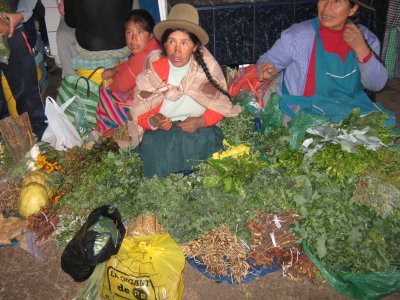 medicinal herbs (Mercado San Pedro)