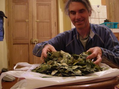 Me with a pile of coca leaves.  What?