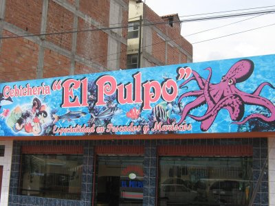 Sr. Pulpo... Dave, with more arms to feel you with
