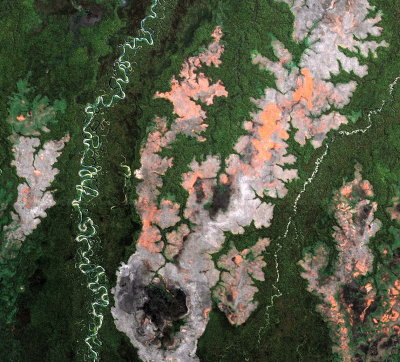 Deforestation in the Peruvian Amazon 