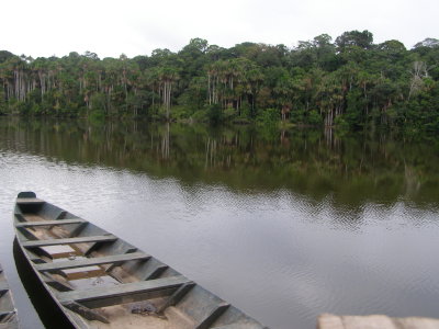 tambopata