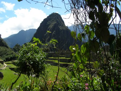 Huayna Picchu from the garden