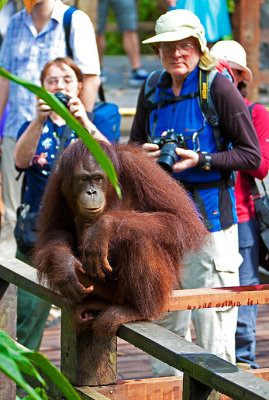 Borneo 2009