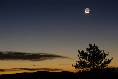 Moon over Shaw Compound