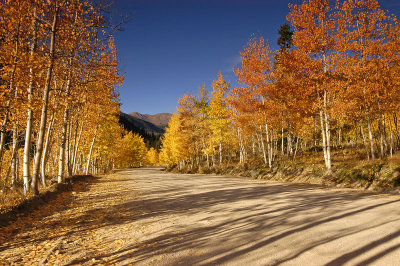 Aspen Road 1