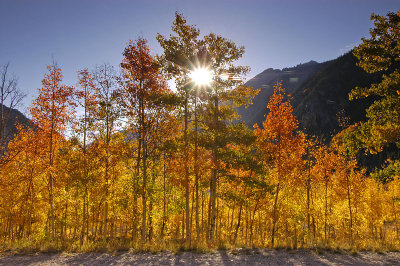 Aspen Road 3