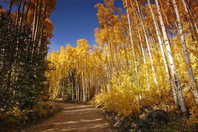 Aspen Road 5