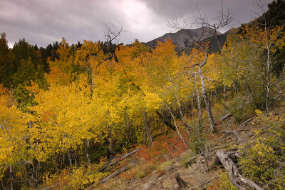 Ridge 3