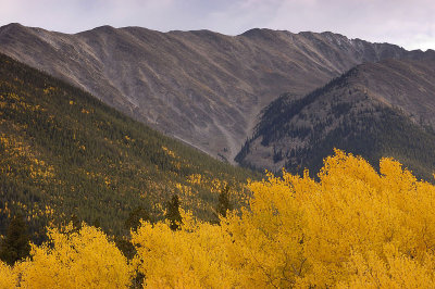 Ridge 5