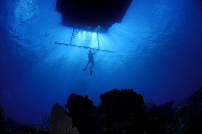 Reef Scene