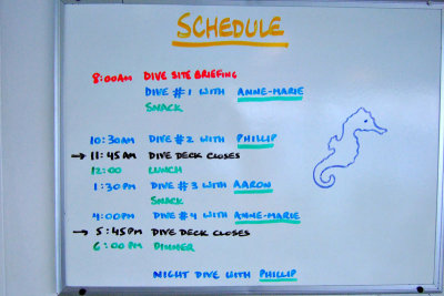 Daily Dive Schedule