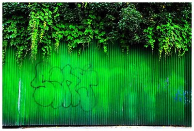 Green Wall.