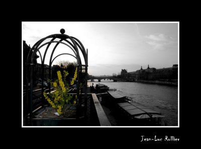  Seine in spring.