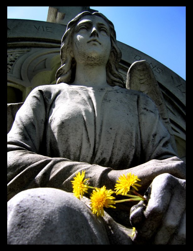 20090513_0542.JPG