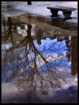City Hall Park