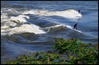 Surfing Montreal