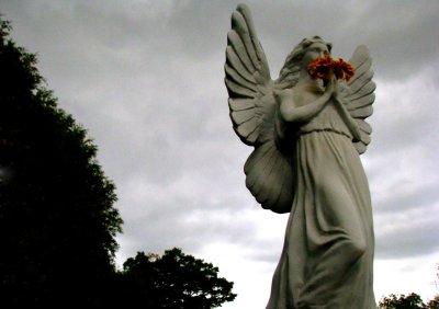 angel of the flowers.jpg