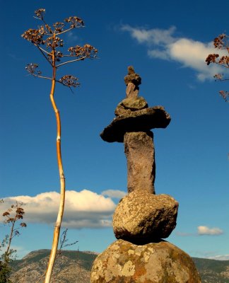 sculpt6.jpg
