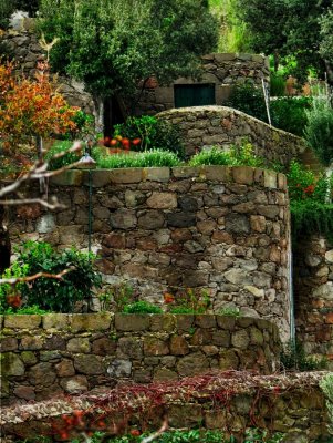 The walled in garden