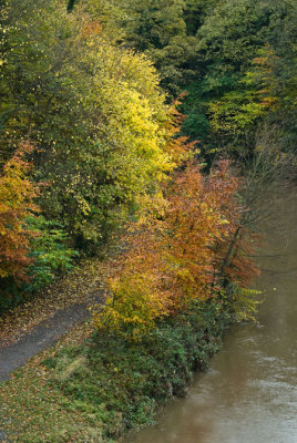 Autumn Colours 1