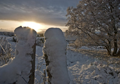 _DSC7581Snow Essence