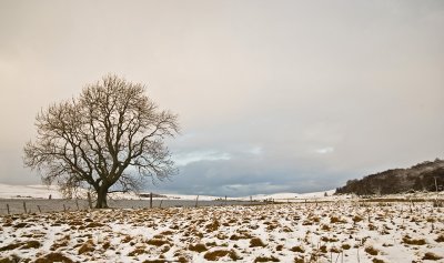 _DSC7597Lochindorb