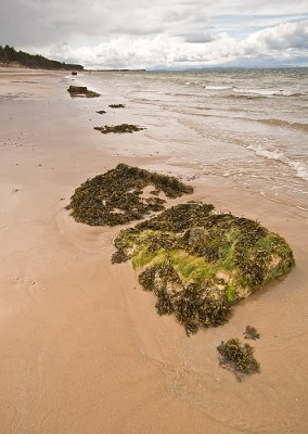 16_May_09Roseisle
