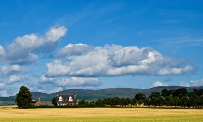 28_July_09The Angus hills