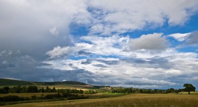 July 2010