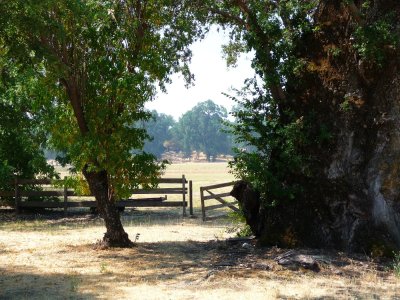 Anderson Marsh