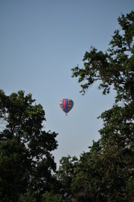 Aloft