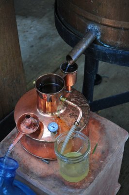 The brew