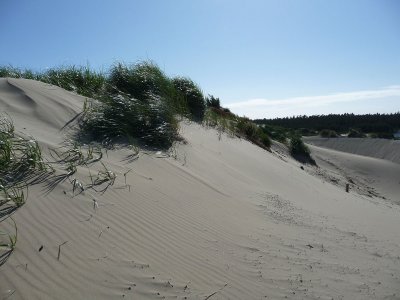 Oregon Dunes