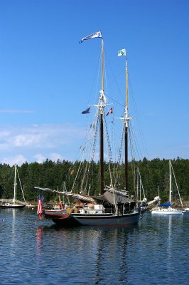 The Lewis French in harbor