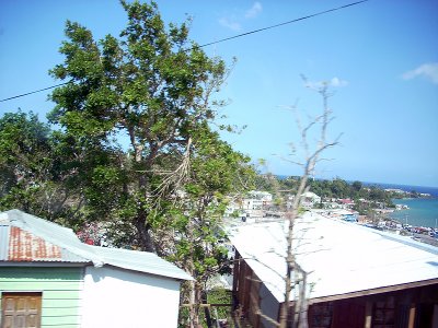 jamaica 08 012.jpg