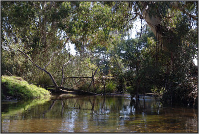 Rubicon River at Thornton