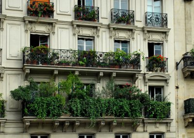 Parisian Balconies