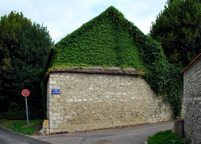 Giverny Roof with Ivy