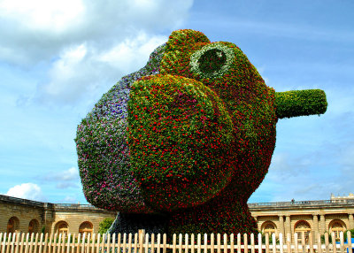 Versailles Gardens - Two-Sided Topiary