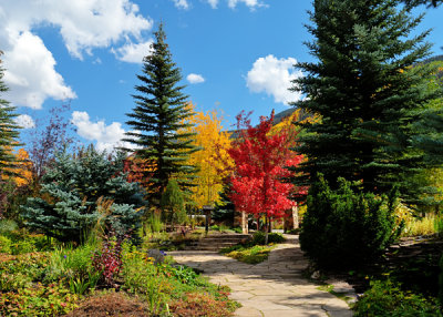 Fall at Betty Ford Alpine Gardens