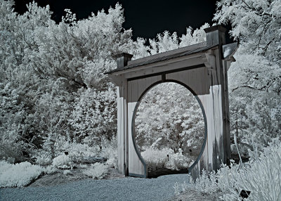 Moon Gate 1 Infrared