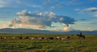 _DSC2593.jpg