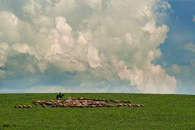 _DSC2762.jpg