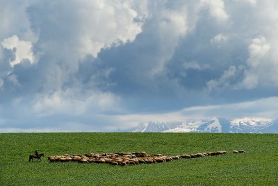 _DSC2766.jpg